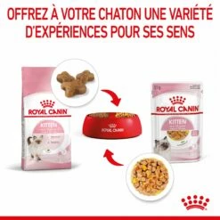 Royal Canin Kitten En Gelée - Pâtée Pour Chaton 16 Royal Canin Kitten En Gelée - Pâtée Pour Chaton -Promos Wanimo Boutique royal canin kitten en gelee patee pour chaton royal canin 4