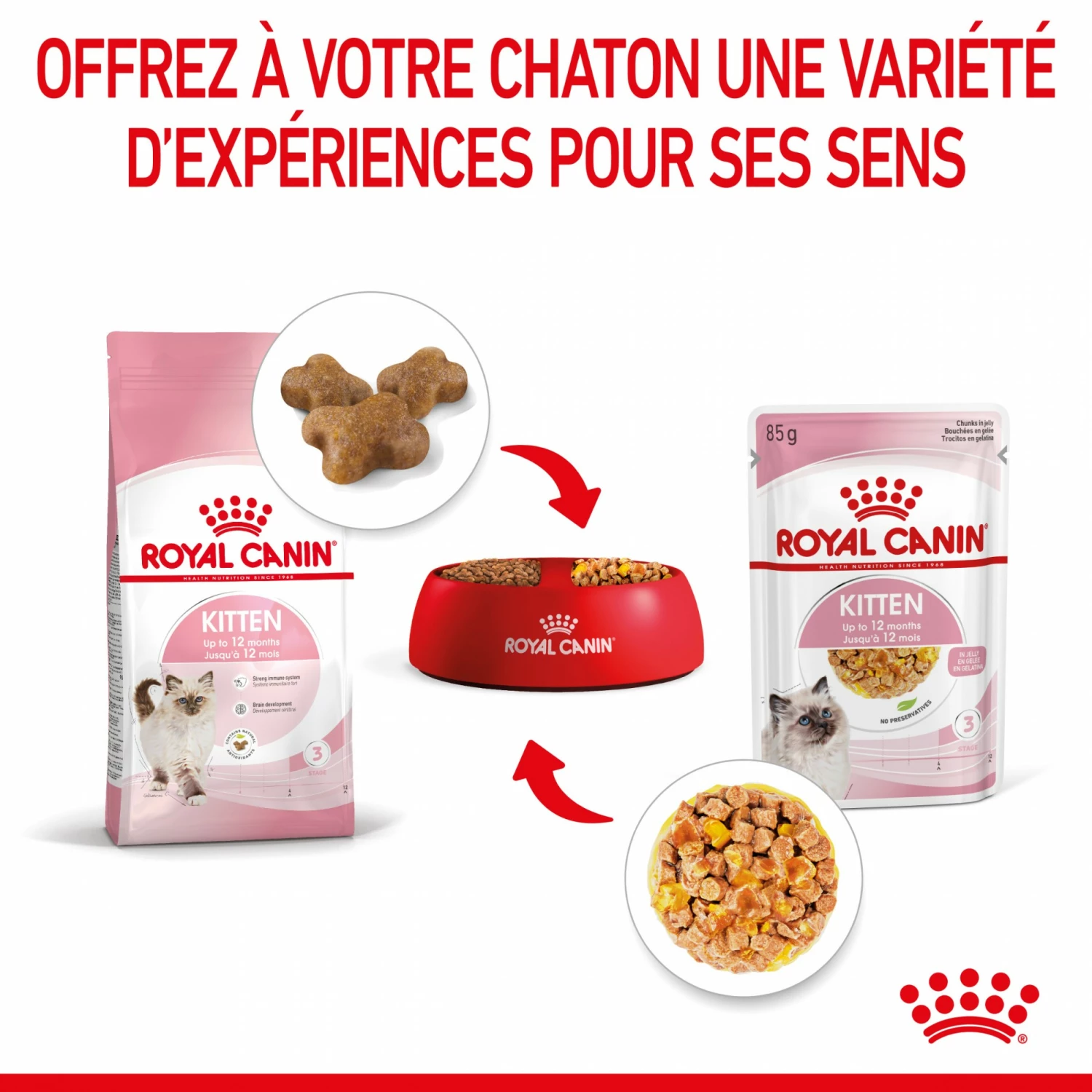 Royal Canin Kitten En Gelée - Pâtée Pour Chaton 5 Royal Canin Kitten En Gelée - Pâtée Pour Chaton – Image 5