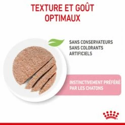 Royal Canin Kitten - Mousses Pour Chaton -Promos Wanimo Boutique royal canin kitten mousses pour chaton royal canin 4