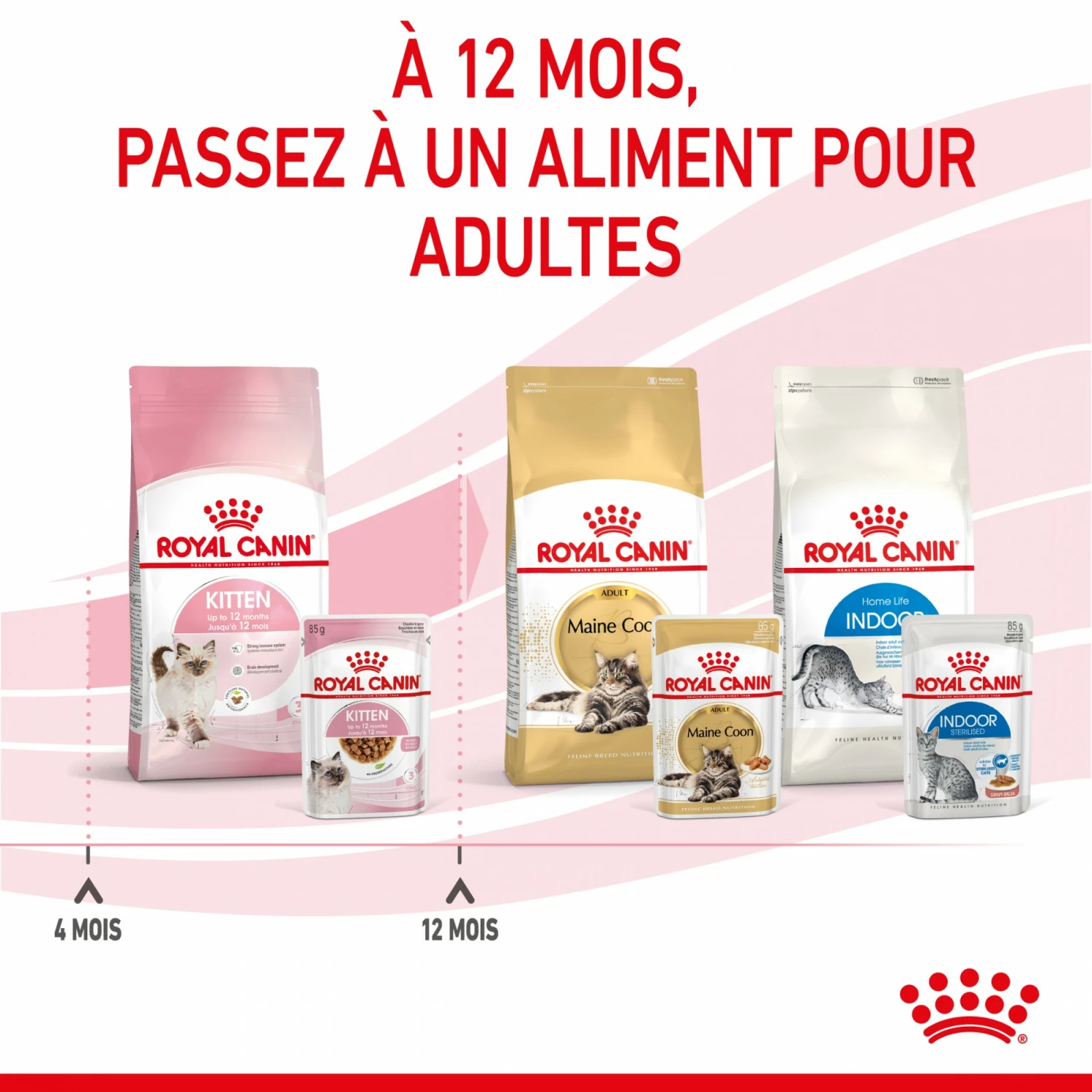 Royal Canin Kitten - Sauce Pour Chaton 11 Royal Canin Kitten - Sauce Pour Chaton – Image 11