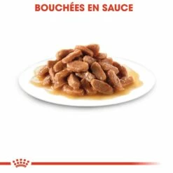 Royal Canin Kitten - Sauce Pour Chaton 17 Royal Canin Kitten - Sauce Pour Chaton -Promos Wanimo Boutique royal canin kitten sauce pour chaton royal canin 4