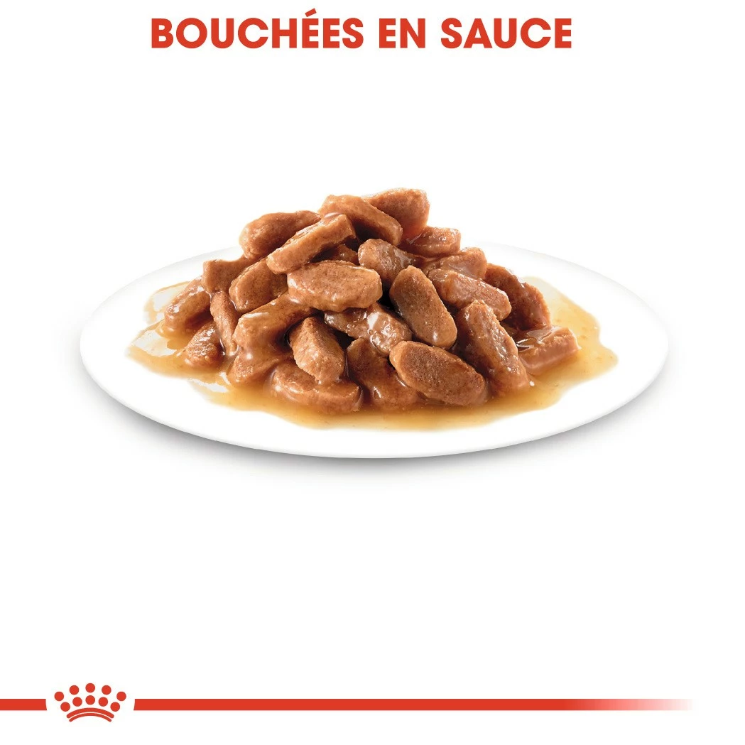 Royal Canin Kitten - Sauce Pour Chaton 5 Royal Canin Kitten - Sauce Pour Chaton – Image 5