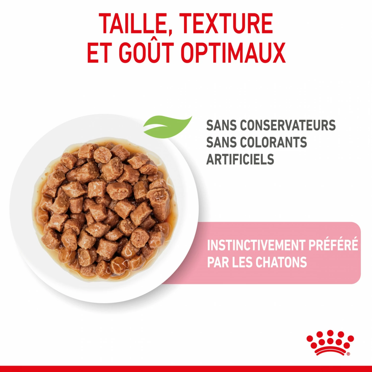 Royal Canin Kitten - Sauce Pour Chaton 6 Royal Canin Kitten - Sauce Pour Chaton – Image 6