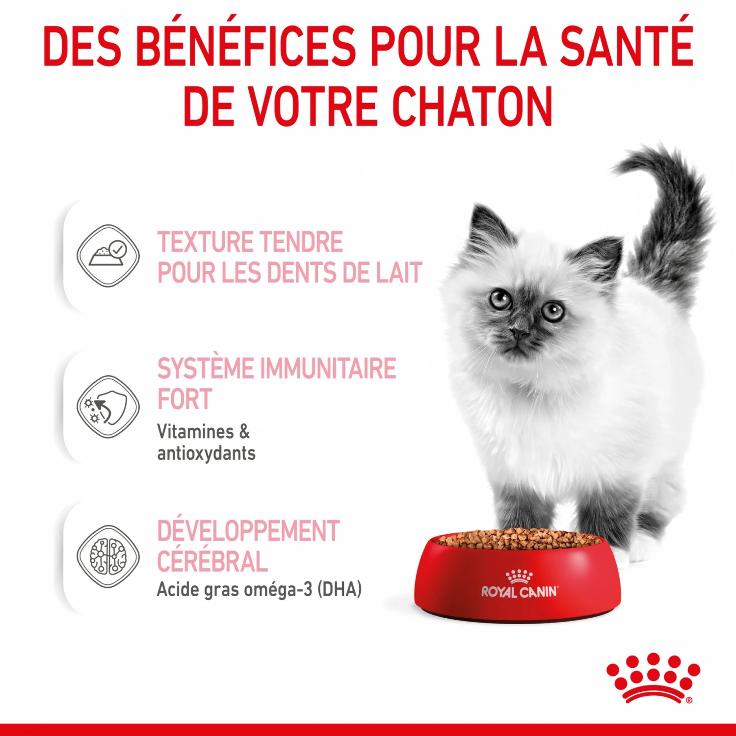 Royal Canin Kitten - Sauce Pour Chaton 7 Royal Canin Kitten - Sauce Pour Chaton – Image 7