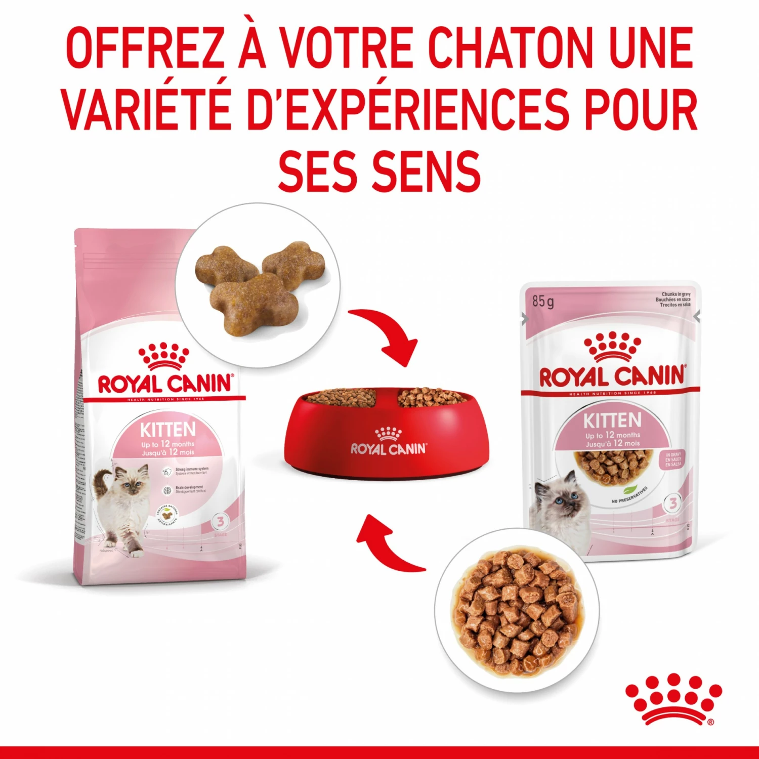 Royal Canin Kitten - Sauce Pour Chaton 8 Royal Canin Kitten - Sauce Pour Chaton – Image 8