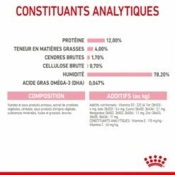 Royal Canin Kitten - Sauce Pour Chaton 21 Royal Canin Kitten - Sauce Pour Chaton -Promos Wanimo Boutique royal canin kitten sauce pour chaton royal canin 8