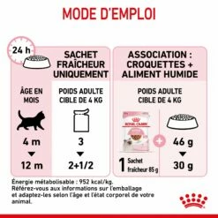 Royal Canin Kitten - Sauce Pour Chaton 22 Royal Canin Kitten - Sauce Pour Chaton -Promos Wanimo Boutique royal canin kitten sauce pour chaton royal canin 9