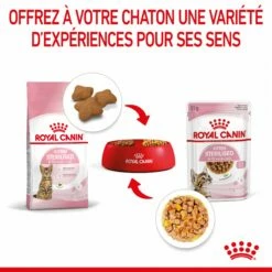 Royal Canin Kitten Sterilised -Promos Wanimo Boutique royal canin kitten sterilised kitten sterilised lot x g 17