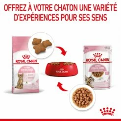 Royal Canin Kitten Sterilised -Promos Wanimo Boutique royal canin kitten sterilised kitten sterilised lot x g 6