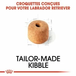 Royal Canin Labrador Retriever Adult - Croquettes Pour Chien -Promos Wanimo Boutique royal canin labrador retriever adult croquettes pour chien labrador retriever adulte 3
