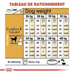 Royal Canin Labrador Retriever Adult - Croquettes Pour Chien -Promos Wanimo Boutique royal canin labrador retriever adult croquettes pour chien labrador retriever adulte 5