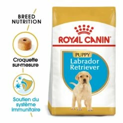 Royal Canin Labrador Retriever Puppy - Croquettes Pour Chiot -Promos Wanimo Boutique royal canin labrador retriever puppy croquettes pour chiot 1 2