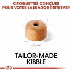 Royal Canin Labrador Retriever Puppy - Croquettes Pour Chiot -Promos Wanimo Boutique royal canin labrador retriever puppy croquettes pour chiot 1 3