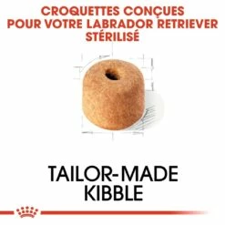 Royal Canin Labrador Retriever Sterilised Adult - Croquettes Pour Chien -Promos Wanimo Boutique royal canin labrador retriever sterilised adult croquettes pour chien labrador retriever sterilised adult 3