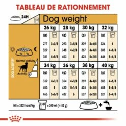 Royal Canin Labrador Retriever Sterilised Adult - Croquettes Pour Chien -Promos Wanimo Boutique royal canin labrador retriever sterilised adult croquettes pour chien labrador retriever sterilised adult 4