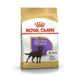Royal Canin Labrador Retriever Sterilised Adult - Croquettes Pour Chien -Promos Wanimo Boutique royal canin labrador retriever sterilised adult croquettes pour chien labrador retriever sterilised adult 6
