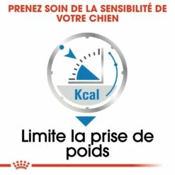 Royal Canin Light Weight Care - Pâtée Pour Chien -Promos Wanimo Boutique royal canin light weight care patee pour chien light weight care adulte lot x g 3
