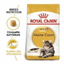 Royal Canin Maine Coon Adult - Croquettes Pour Chat -Promos Wanimo Boutique royal canin maine coon adult croquettes pour chat 1 2
