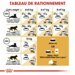 Royal Canin Maine Coon Adult - Croquettes Pour Chat -Promos Wanimo Boutique royal canin maine coon adult croquettes pour chat 1 6