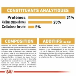 Royal Canin Maine Coon Adult - Croquettes Pour Chat -Promos Wanimo Boutique royal canin maine coon adult croquettes pour chat 1 7