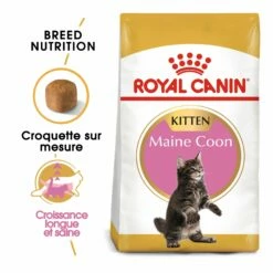 Royal Canin Maine Coon Kitten 9 Royal Canin Maine Coon Kitten -Promos Wanimo Boutique royal canin maine coon kitten maine coon kitten 2