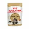 Royal Canin Maine Coon