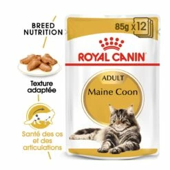 Royal Canin Maine Coon -Promos Wanimo Boutique royal canin maine coon maine coon adult sauce 2