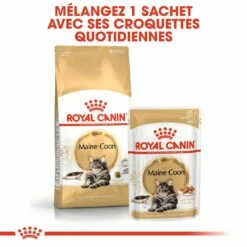 Royal Canin Maine Coon -Promos Wanimo Boutique royal canin maine coon maine coon adult sauce 6