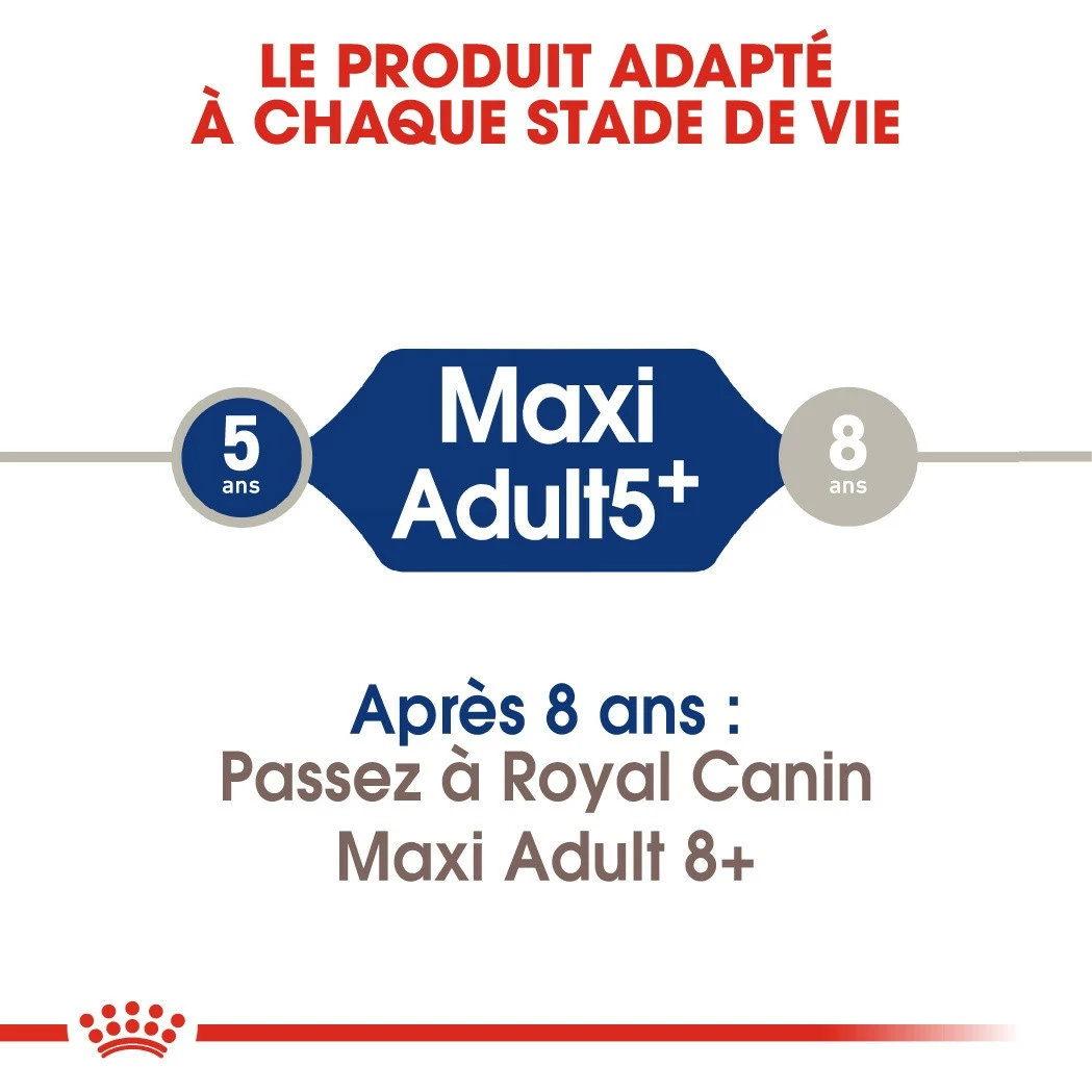 Royal Canin Maxi Adult 5+ - Croquettes Pour Chien 3 Royal Canin Maxi Adult 5+ - Croquettes Pour Chien – Image 3