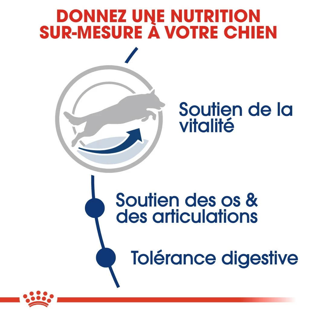 Royal Canin Maxi Adult 5+ - Croquettes Pour Chien 4 Royal Canin Maxi Adult 5+ - Croquettes Pour Chien – Image 4