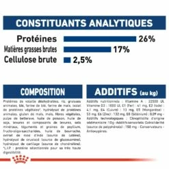 Royal Canin Maxi Adult 5+ - Croquettes Pour Chien 11 Royal Canin Maxi Adult 5+ - Croquettes Pour Chien -Promos Wanimo Boutique royal canin maxi adult croquettes pour chien maxi adult 1 5