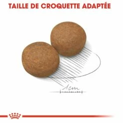Royal Canin Maxi Adult - Croquettes Pour Chien -Promos Wanimo Boutique royal canin maxi adult croquettes pour chien maxi adult 3
