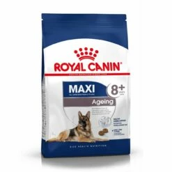 Royal Canin Maxi Ageing 8+ - Croquettes Pour Chien