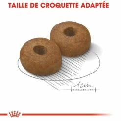 Royal Canin Maxi Ageing 8+ - Croquettes Pour Chien -Promos Wanimo Boutique royal canin maxi ageing croquettes pour chien maxi ageing 1 2