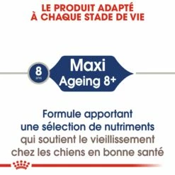 ROYAL CANIN Maxi Ageing 8+ En Sauce – Pâtée Pour Chien -Promos Wanimo Boutique royal canin maxi ageing en sauce patee pour chien 1 2