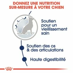 ROYAL CANIN Maxi Ageing 8+ En Sauce – Pâtée Pour Chien -Promos Wanimo Boutique royal canin maxi ageing en sauce patee pour chien 1 3