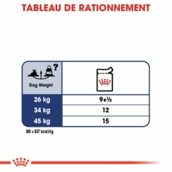 ROYAL CANIN Maxi Ageing 8+ En Sauce – Pâtée Pour Chien -Promos Wanimo Boutique royal canin maxi ageing en sauce patee pour chien 1 6