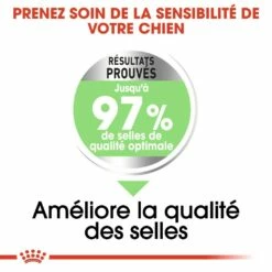 Royal Canin Maxi Digestive Care - Croquettes Pour Chien 11 Royal Canin Maxi Digestive Care - Croquettes Pour Chien -Promos Wanimo Boutique royal canin maxi digestive care croquettes pour chien maxi digestive care 2