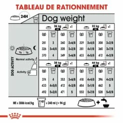 Royal Canin Maxi Digestive Care - Croquettes Pour Chien 15 Royal Canin Maxi Digestive Care - Croquettes Pour Chien -Promos Wanimo Boutique royal canin maxi digestive care croquettes pour chien maxi digestive care 6