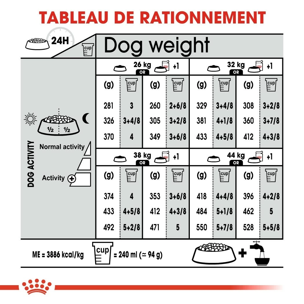 Royal Canin Maxi Digestive Care - Croquettes Pour Chien 7 Royal Canin Maxi Digestive Care - Croquettes Pour Chien – Image 7