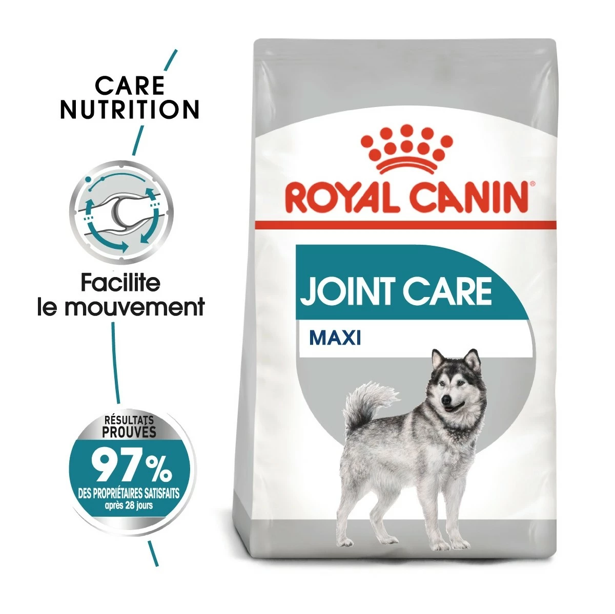 Royal Canin Maxi Joint Care - Croquettes Pour Chien 2 Royal Canin Maxi Joint Care - Croquettes Pour Chien – Image 2