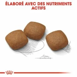 Royal Canin Maxi Joint Care - Croquettes Pour Chien 10 Royal Canin Maxi Joint Care - Croquettes Pour Chien -Promos Wanimo Boutique royal canin maxi joint care croquettes pour chien maxi joint care 3