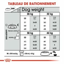 Royal Canin Maxi Joint Care - Croquettes Pour Chien 12 Royal Canin Maxi Joint Care - Croquettes Pour Chien -Promos Wanimo Boutique royal canin maxi joint care croquettes pour chien maxi joint care 5