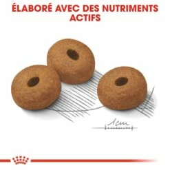 Royal Canin Maxi Light Weight Care - Croquettes Pour Chien -Promos Wanimo Boutique royal canin maxi light weight care croquettes pour chien maxi light weight care 4