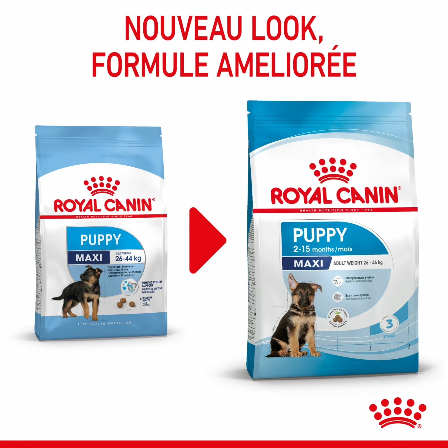 Royal Canin Maxi Puppy - Croquettes Pour Chiot 2 Royal Canin Maxi Puppy - Croquettes Pour Chiot – Image 2