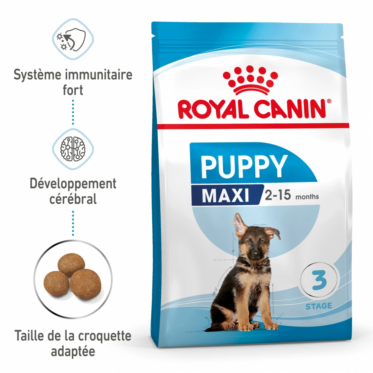 Royal Canin Maxi Puppy - Croquettes Pour Chiot 3 Royal Canin Maxi Puppy - Croquettes Pour Chiot – Image 3