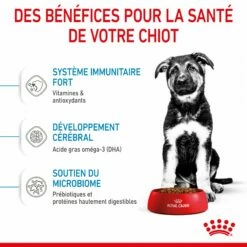 Royal Canin Maxi Puppy - Croquettes Pour Chiot 14 Royal Canin Maxi Puppy - Croquettes Pour Chiot -Promos Wanimo Boutique royal canin maxi puppy croquettes pour chiot maxi puppy 4