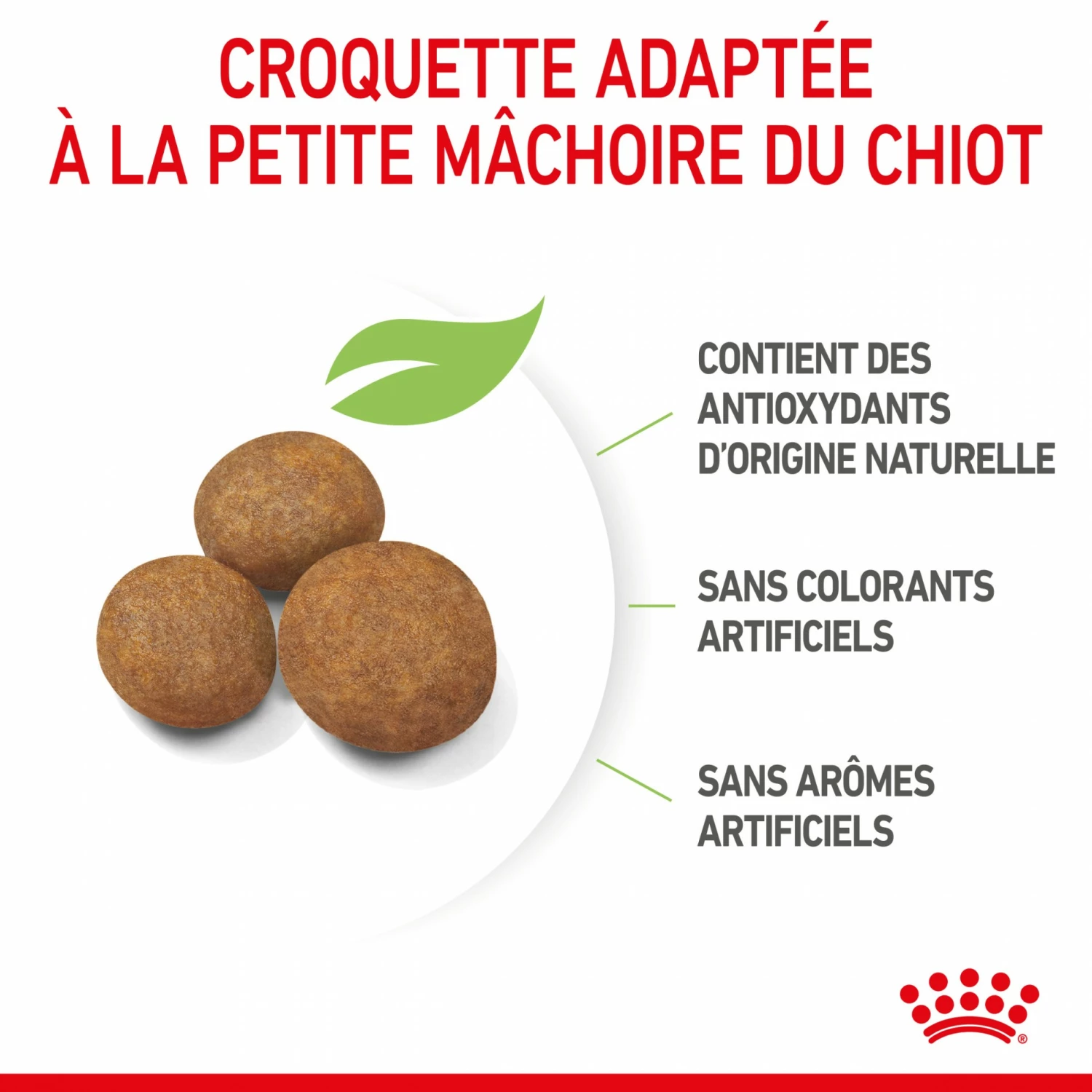 Royal Canin Maxi Puppy - Croquettes Pour Chiot 6 Royal Canin Maxi Puppy - Croquettes Pour Chiot – Image 6