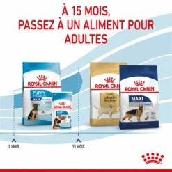Royal Canin Maxi Puppy - Croquettes Pour Chiot 16 Royal Canin Maxi Puppy - Croquettes Pour Chiot -Promos Wanimo Boutique royal canin maxi puppy croquettes pour chiot maxi puppy 6