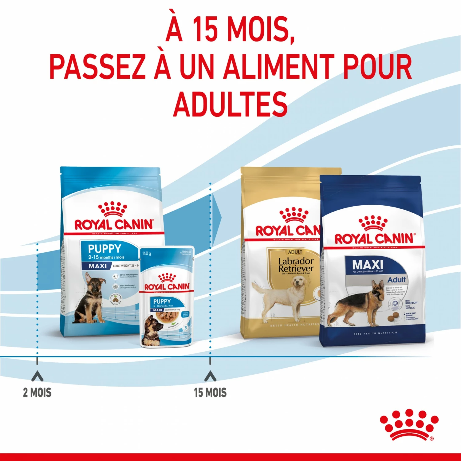 Royal Canin Maxi Puppy - Croquettes Pour Chiot 7 Royal Canin Maxi Puppy - Croquettes Pour Chiot – Image 7